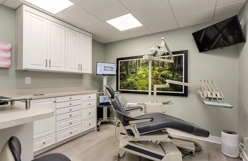 A treatment room with a dental chair, a monitor and a forest photograph on the wall.